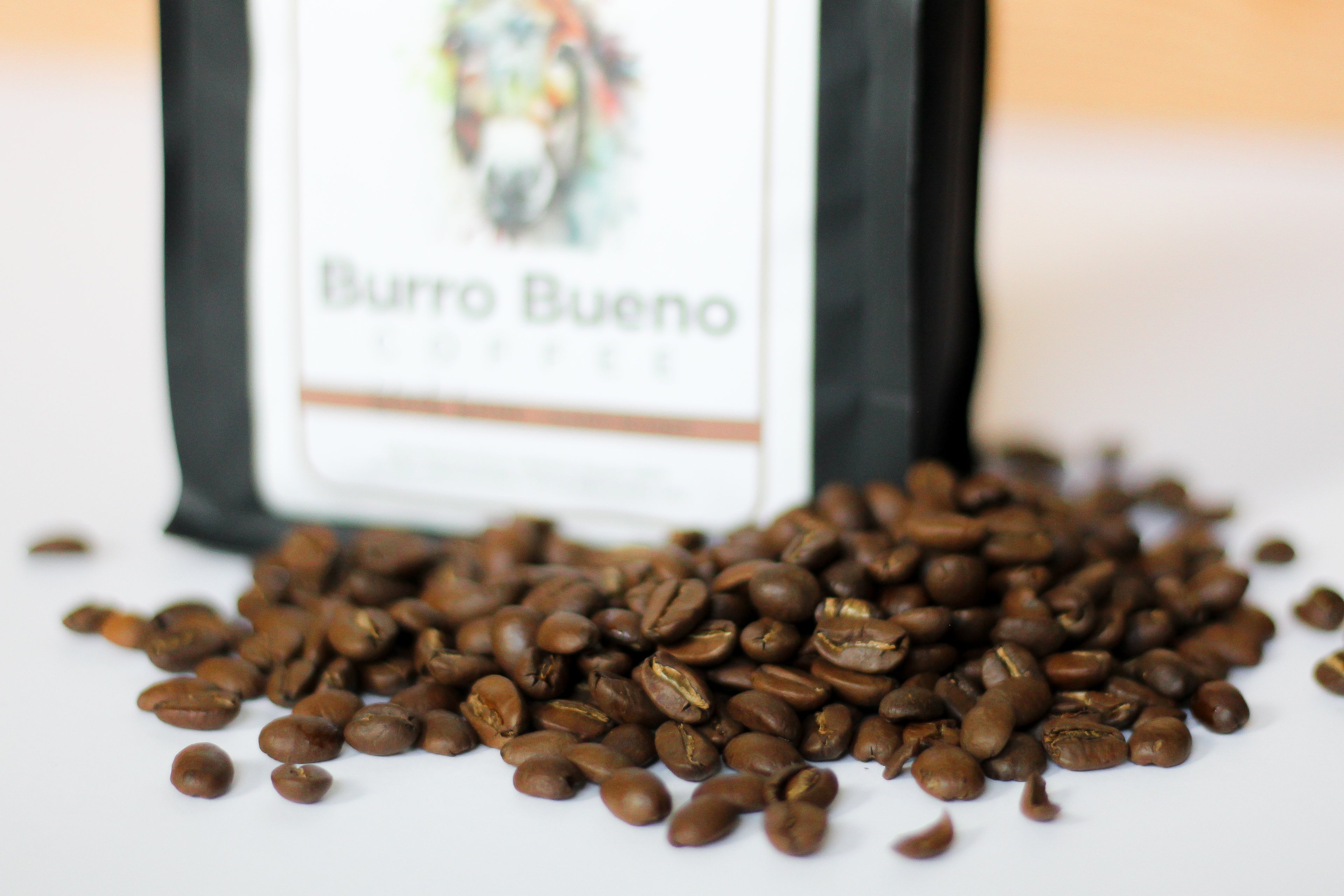 Burro Bueno Coffee beans, harvested from the cloud kissed mountains of Honduras